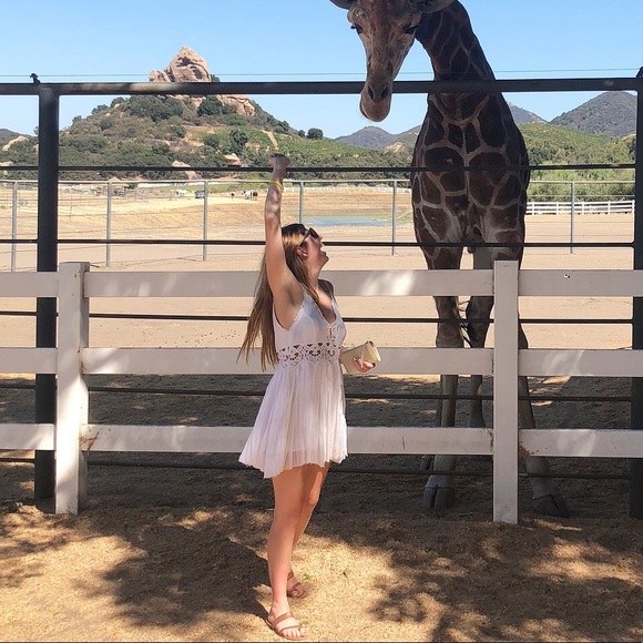 FREE PEOPLE White Lace Slip Dress - Picture 6 of 6